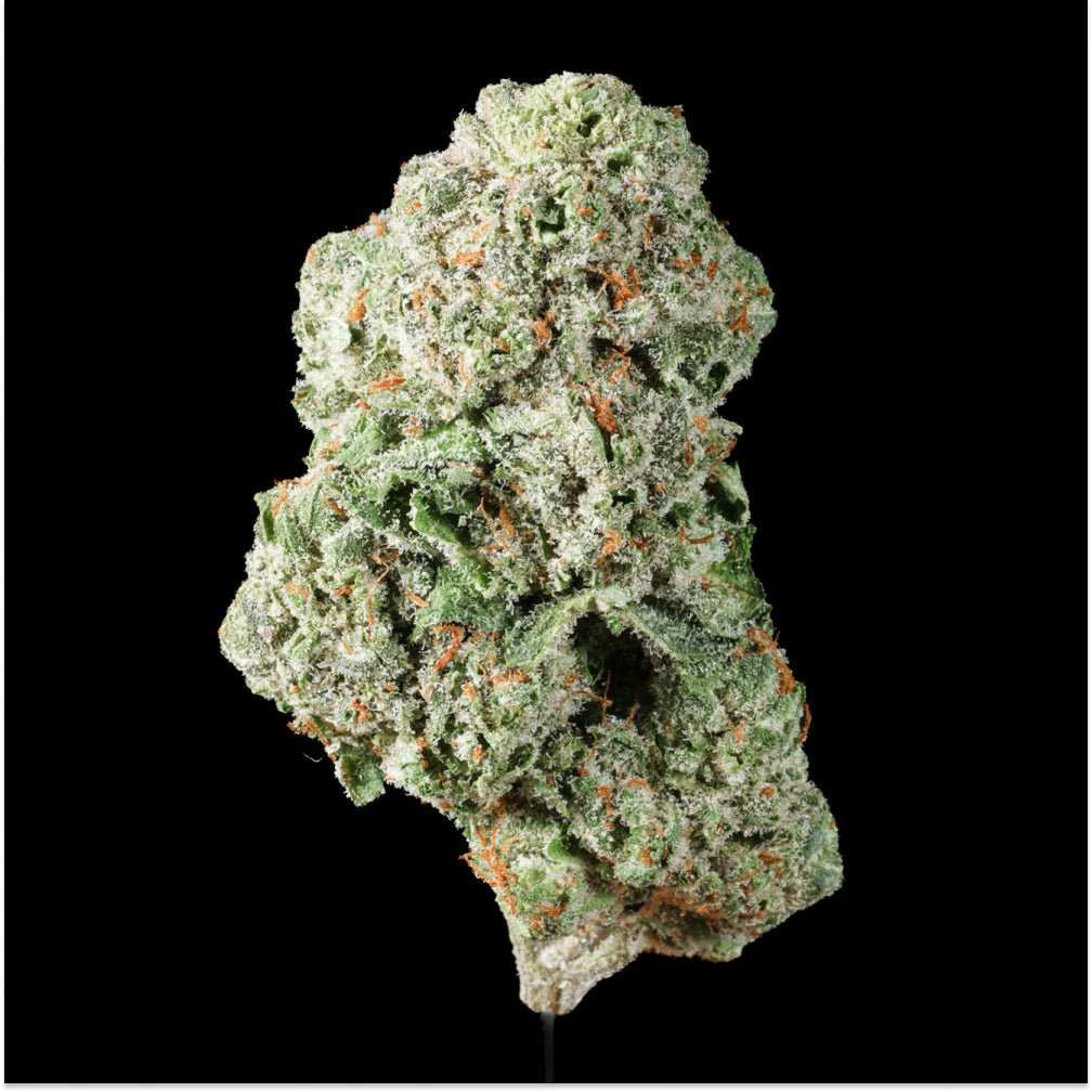 Indica